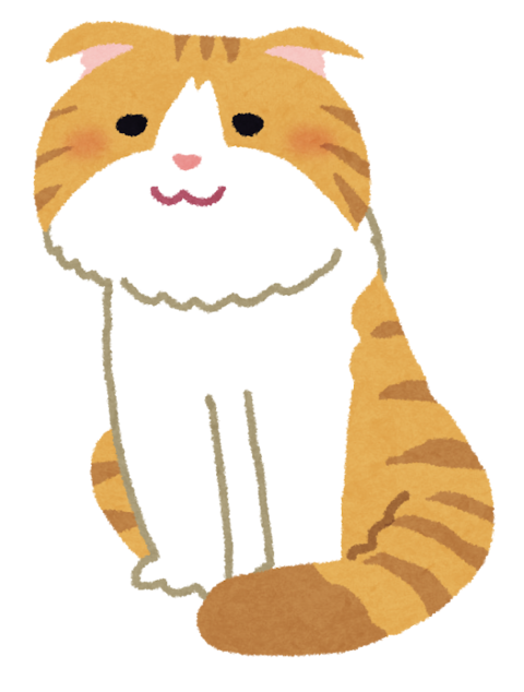 cat_scottish_fold