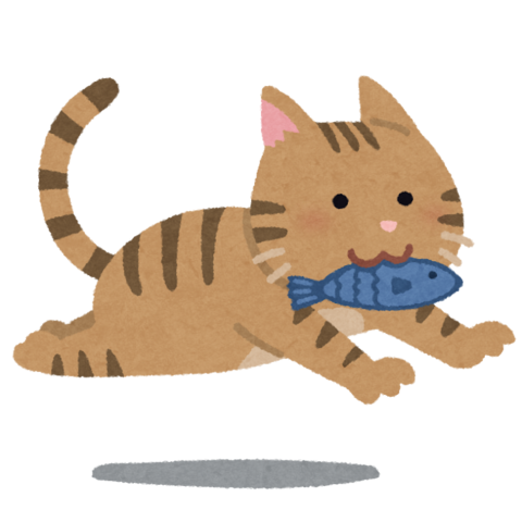 cat_fish_run