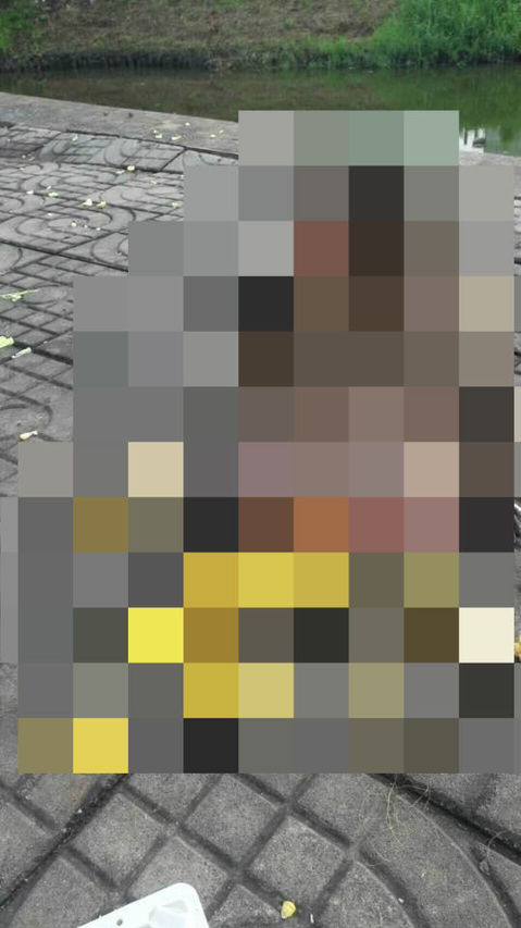 BlogPaint