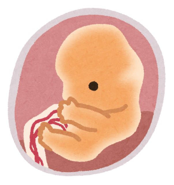 baby_taiji.png