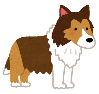 dog_shetland_sheepdog.png