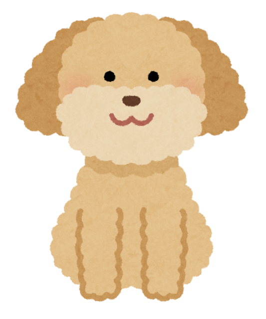 dog_toypoodle_cream.png