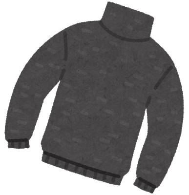 fashion_sweater_turtle.png