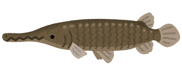 fish_alligator_gar.png