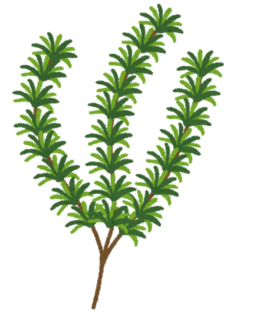 herb_rosemary.png