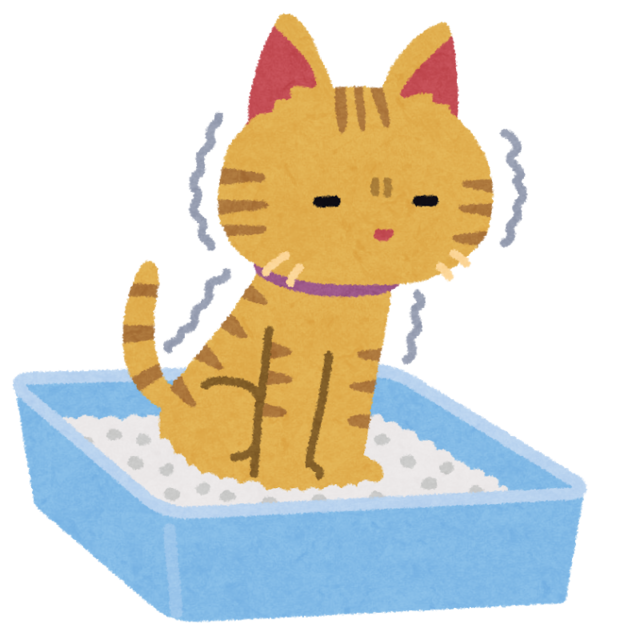 pet_nekosuna.png