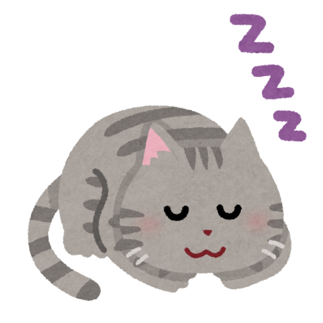 sleep_animal_cat (1).png