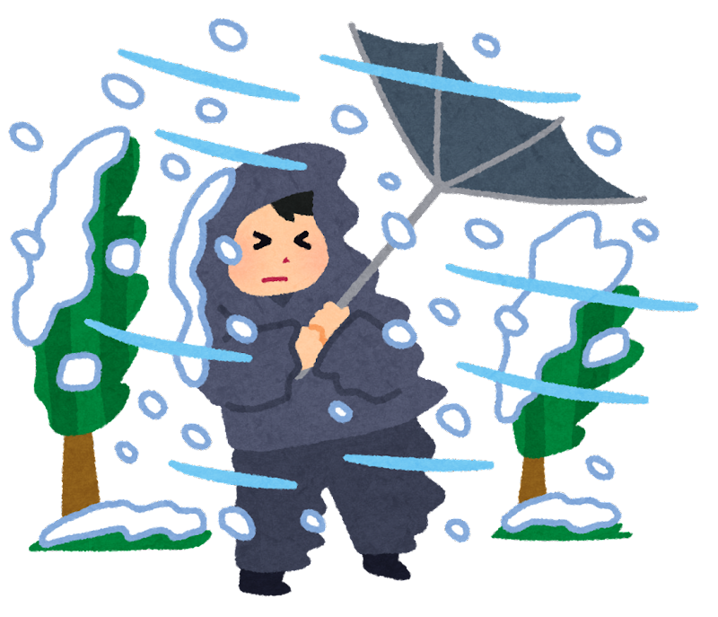 【悲報】九州、雪がヤバすぎるｗｗｗｗｗｗｗｗ（※動画あり）